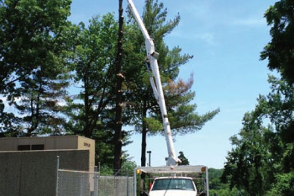 commercial-tree-trimming-lift