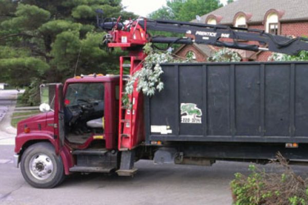 full-tree-waste-removal